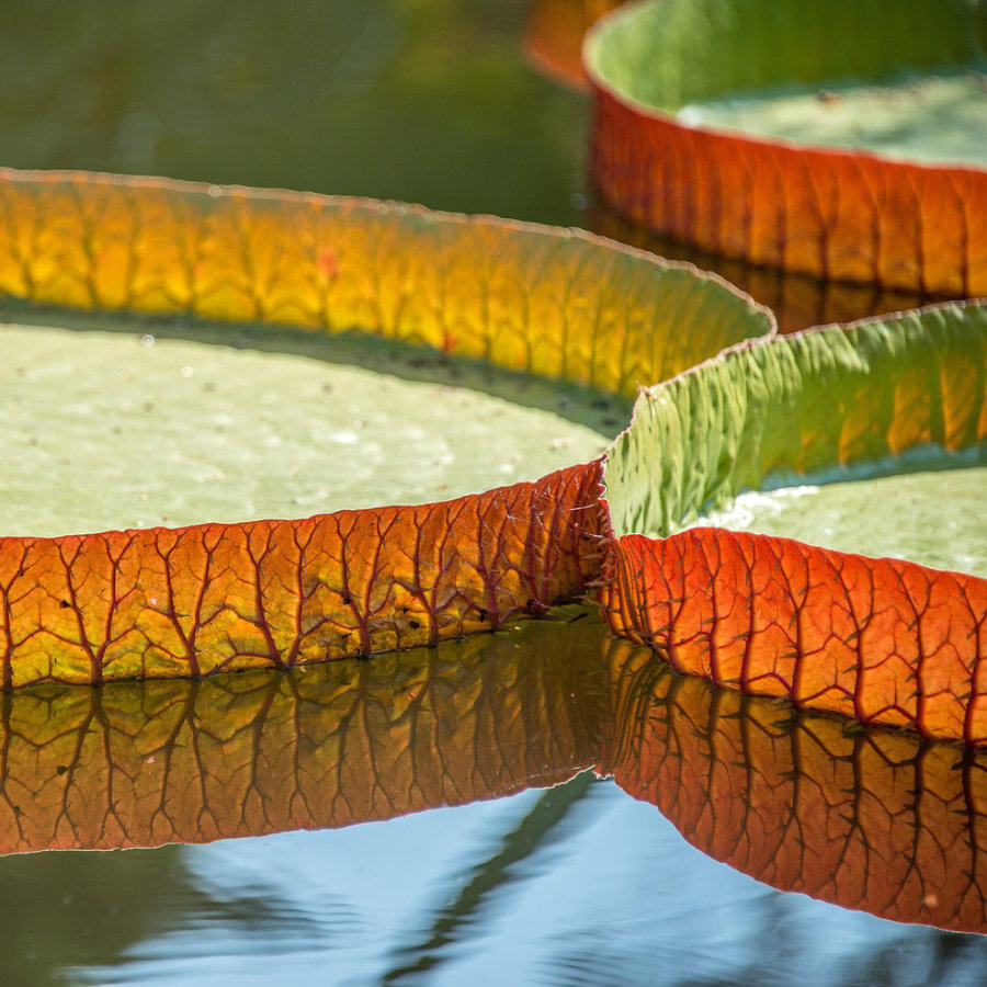 que-es-la-cromatografia-3