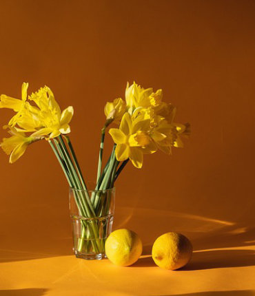 productos-de-la-division-cuidado-del-hogar-1