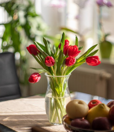 productos-de-la-division-cuidado-del-hogar-2