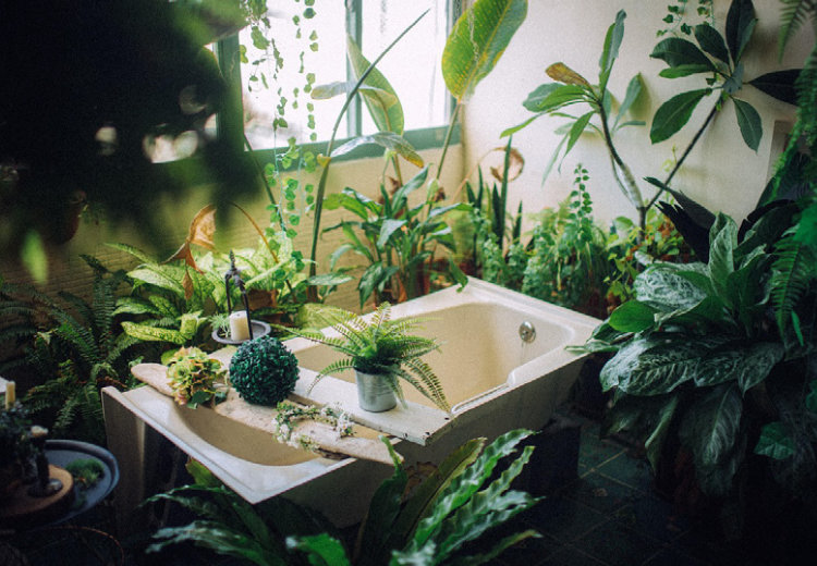 productos-de-la-division-cuidado-del-hogar-3