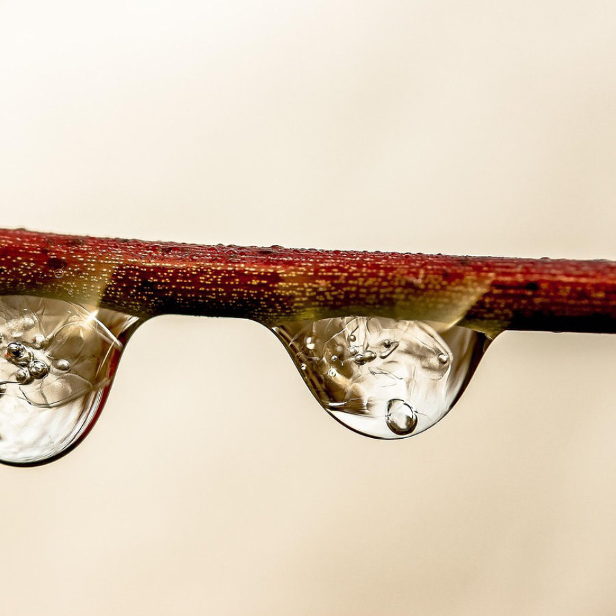 aplicaciones-de-la-encapsulacion-de-fragancias-en-la-industria-perfumera