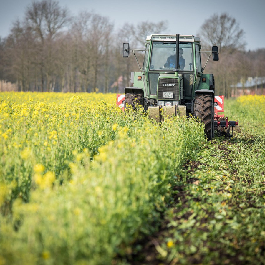 pinturas-y-recubrimientos