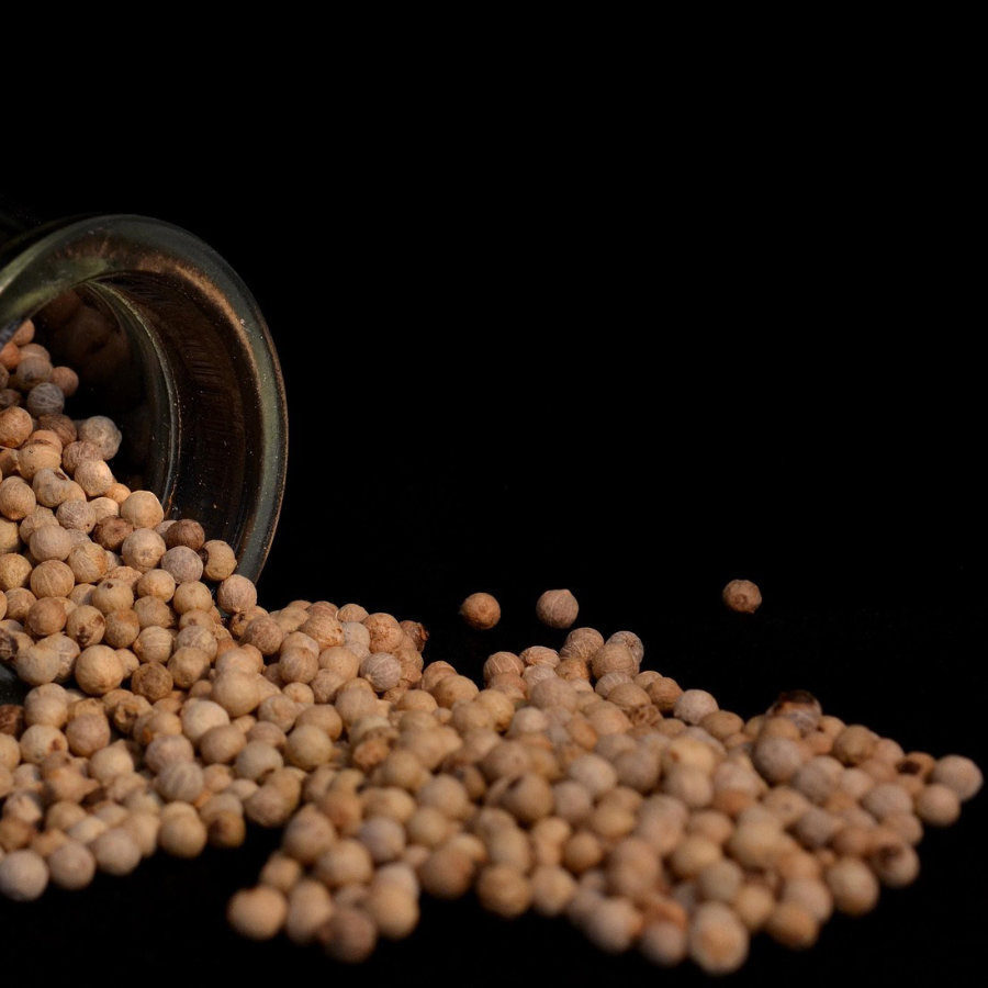 marca-internacional-de-ropa