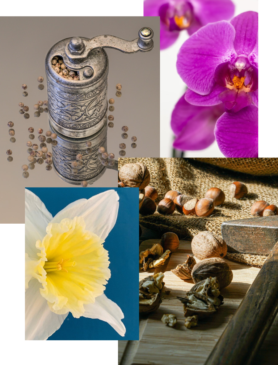 mejor-experiencia-de-cliente