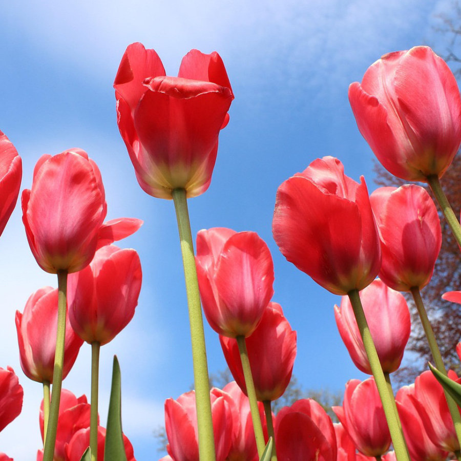 innovacion-y-arte-en-la-perfumeria-fina-1