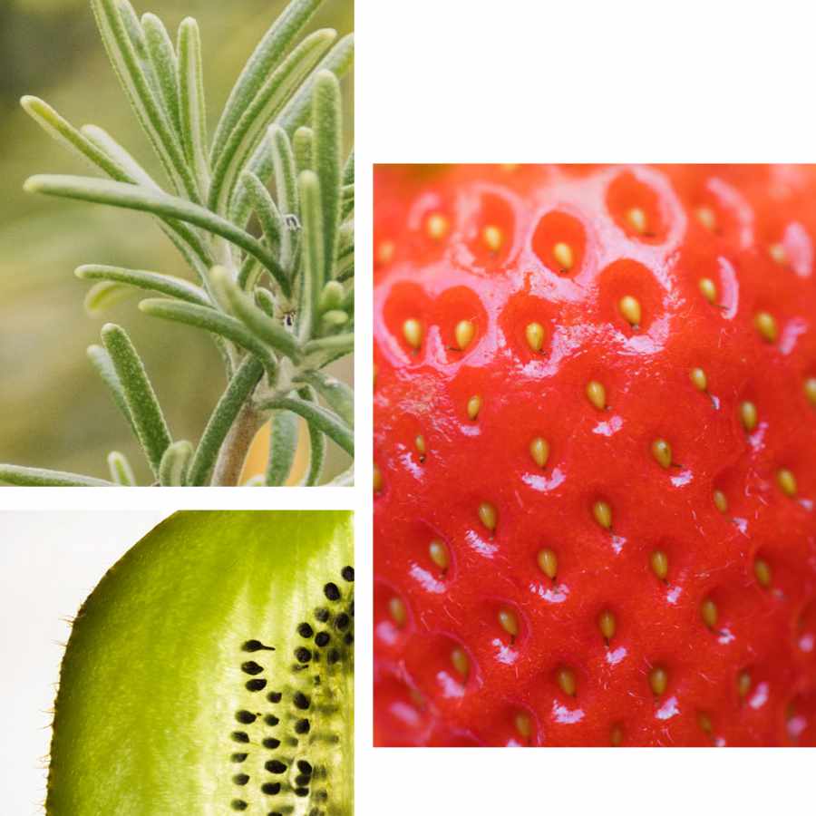 tecnologia-en-la-creacion-de-fragancias-saludables