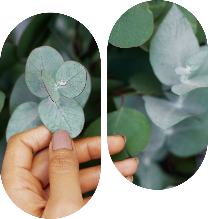 materiales-organicos