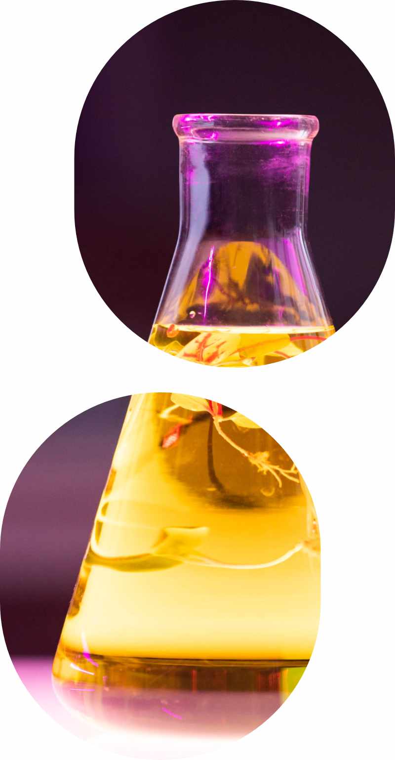 el-rol-de-los-quimicos-aromaticos-en-la-creacion-de-fragancias