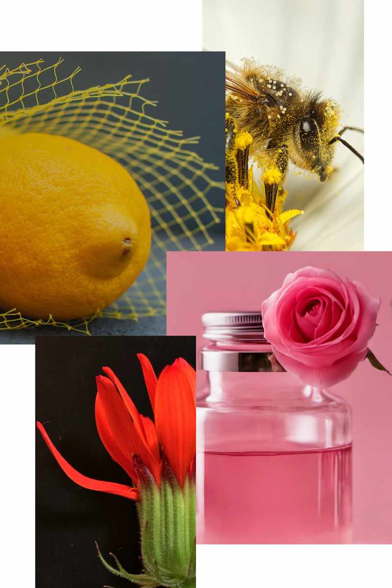 que-son-los-quimicos-aromaticos