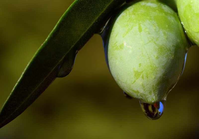 que-son-los-quimicos-aromaticos-1